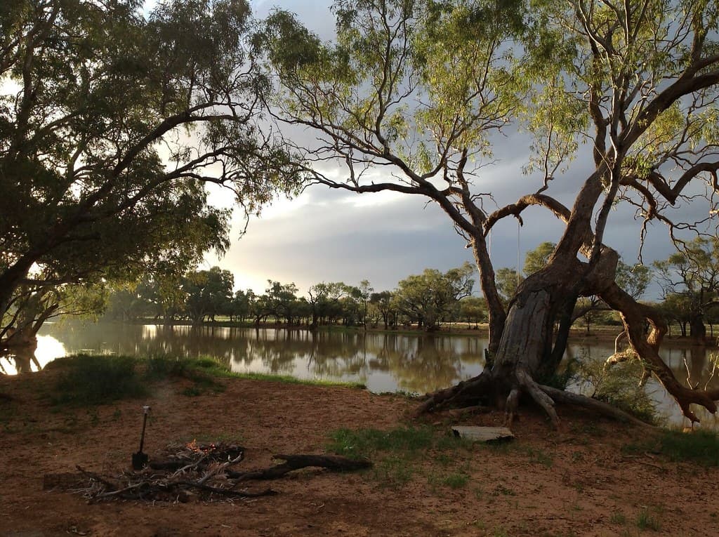One of our better campsites on the way up from Oodnadatta to Mt Dare. Eringa Rockhole,