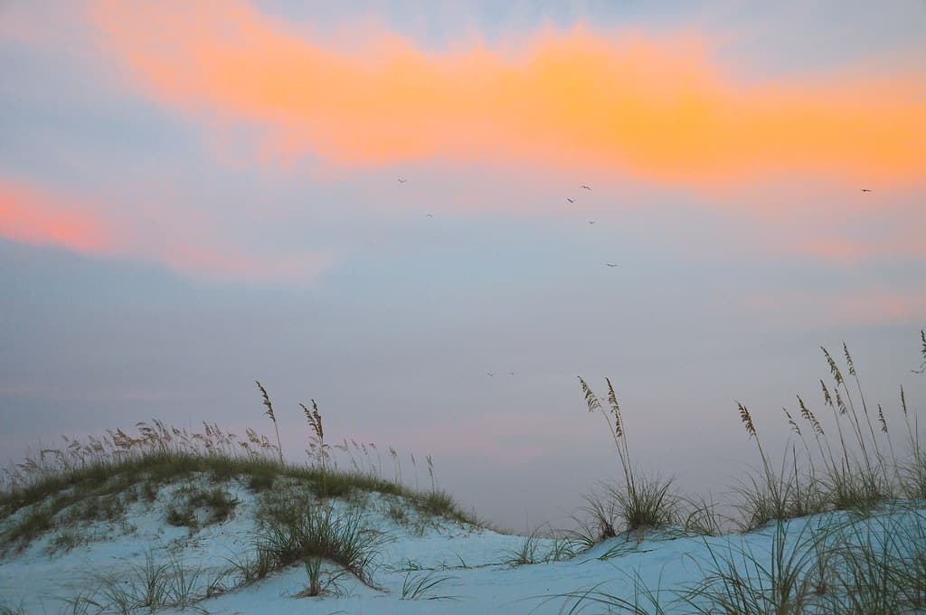 Fort Pickens National Park (Gulf Islands National Seashore)