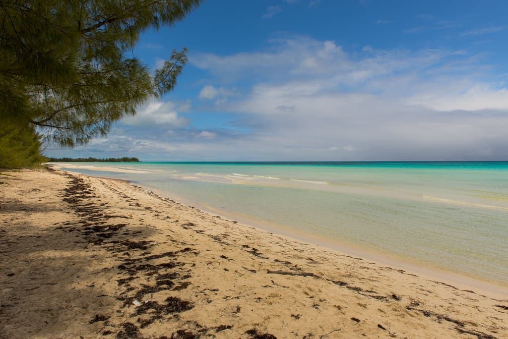 Fortune Beach