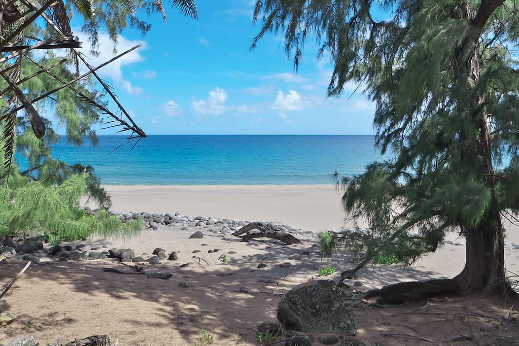 Molokai Shoreline