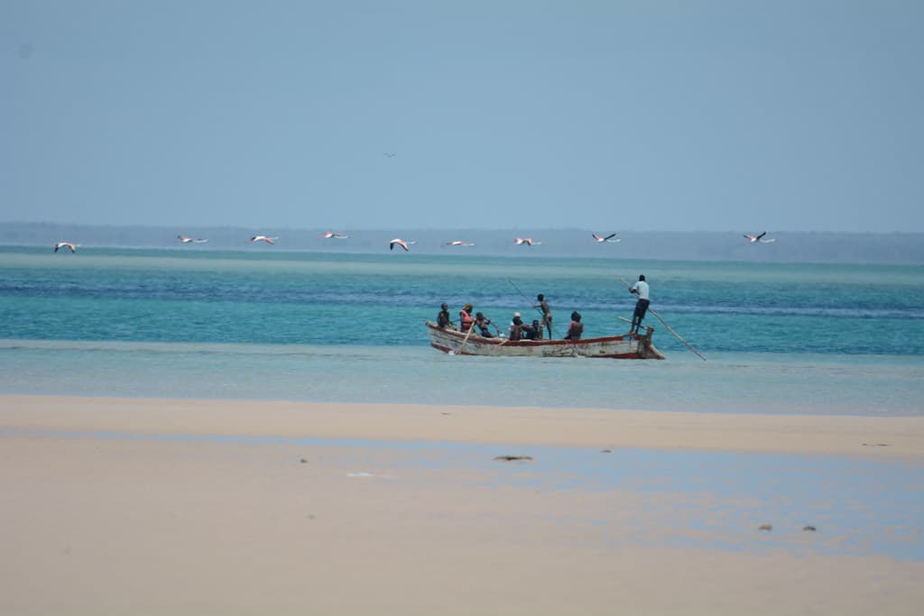 Magaruque Island Beach