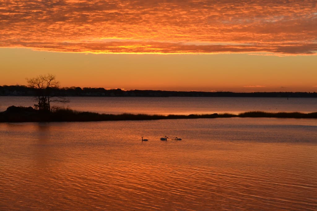 Sabin Point Park Beach — photo by mrc02888