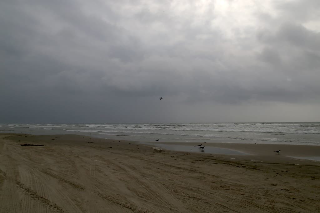 Padre Island National Seashore Beach view 2