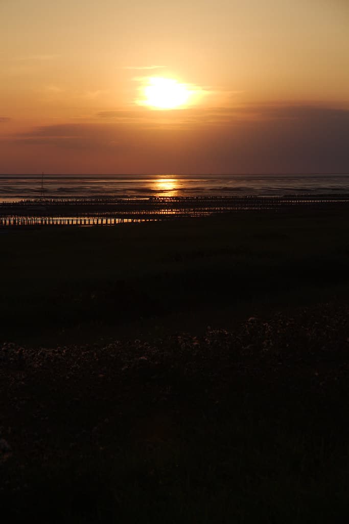 Mandø Beach — photo by Julien Carnot
