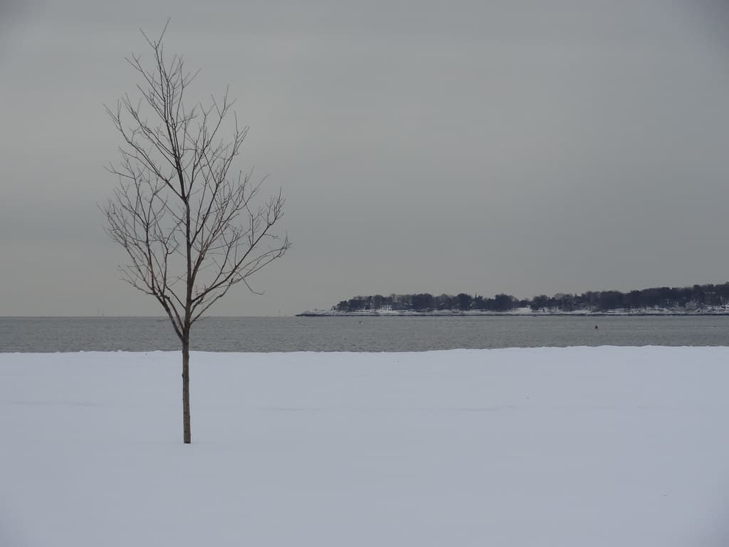 View of Salem Willows from Dane Street Beach
