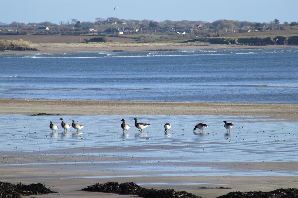 Duncannon Beach — photo by Julie C (busy exploring the Copper Coast)