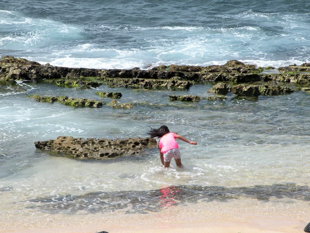 Hookipa Beach Wading Sue Salisbury Maui Hawaii