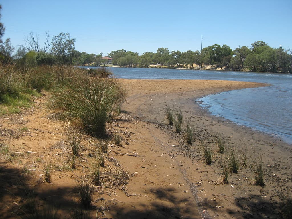 Bayswater Beach