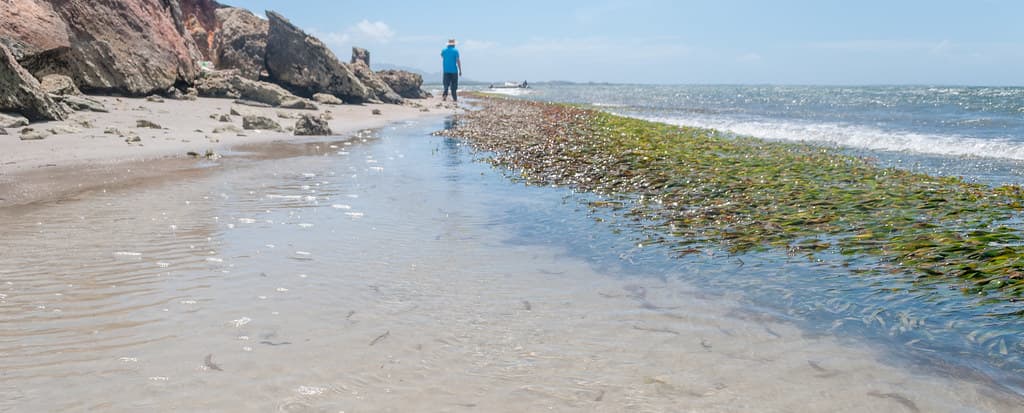 Playa Las Guevaras — photo by Wilfredorrh