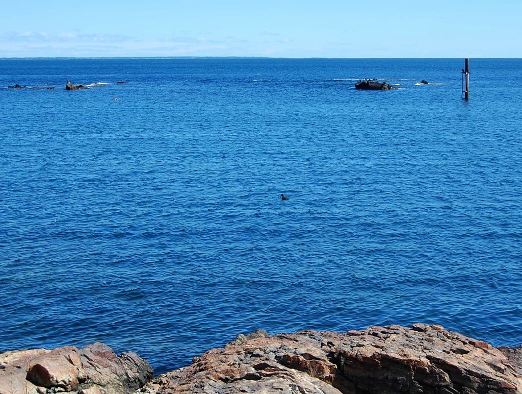 Ogunquin Museum of American Art - the Sculpture Garden