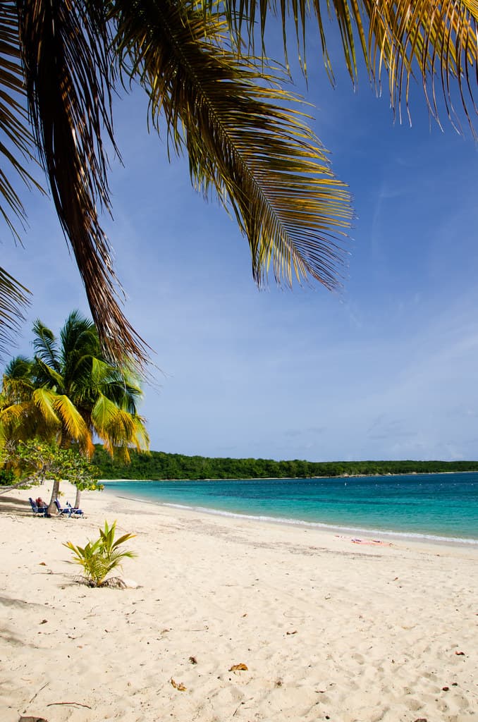 Playa Grande Beach