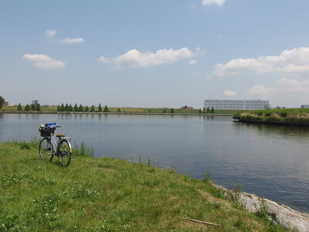 Nakanoshima Island @ Kyu Iwabuchi Suimon @ Arakawa River @ Akabane
