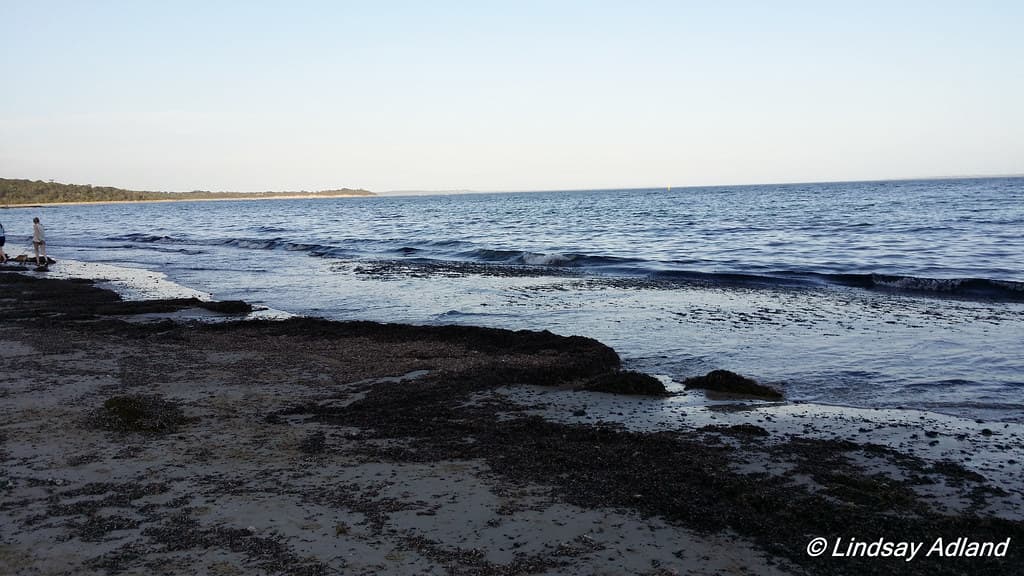 2014-01-09 19.39.10.jpg
