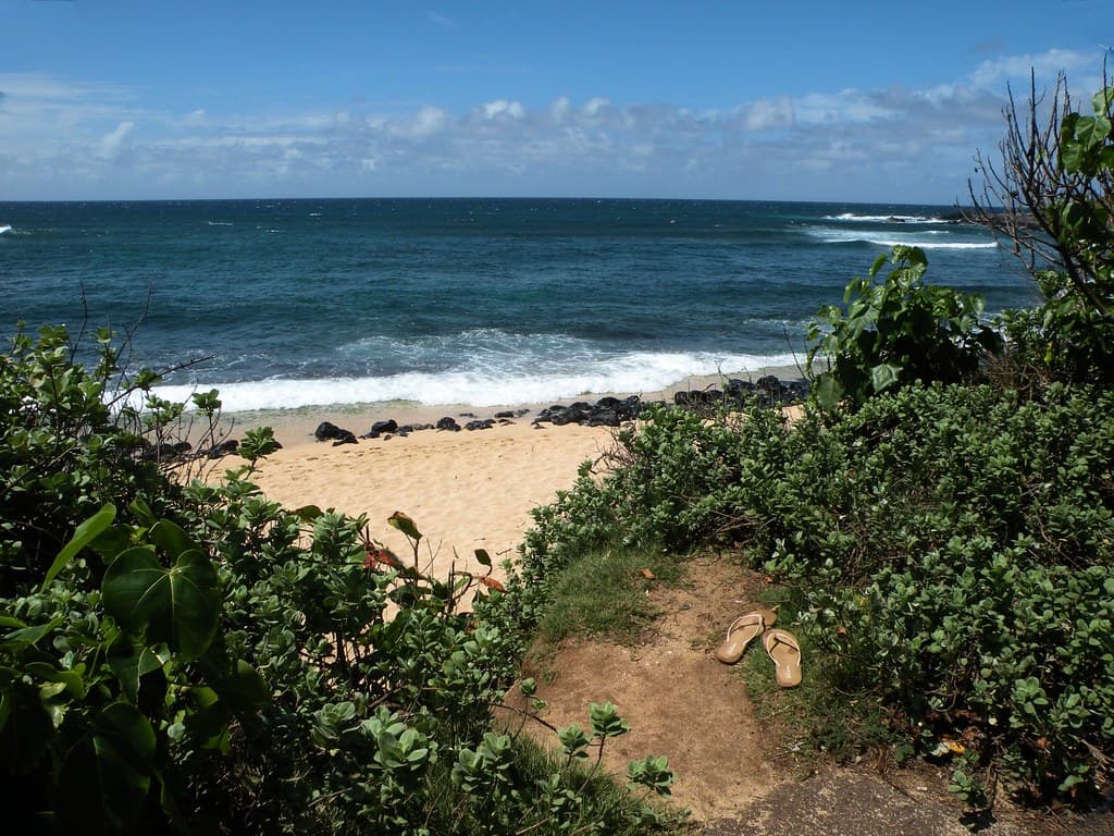 Hookipa Beash Shoes Sue Salisbury Maui Hawaii
