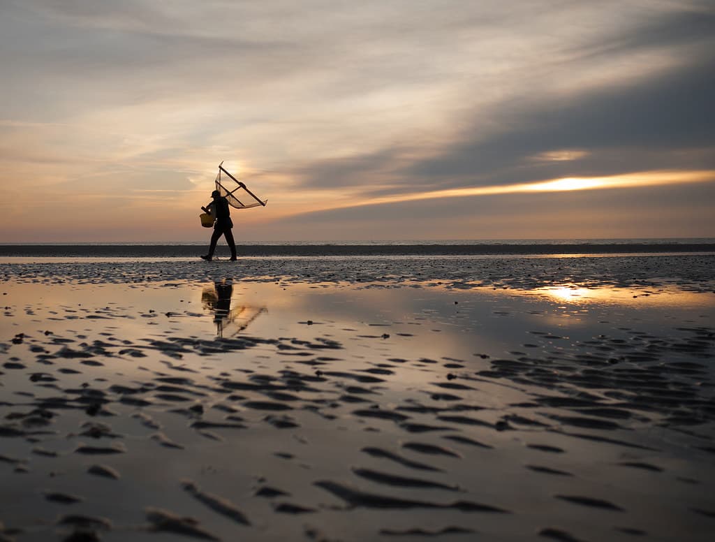 Pêcheur à pied au couchant, plage de Cayeux-sur-Mer