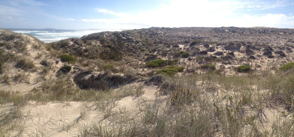 Gunyah Beach, Coffin Bay N.P.