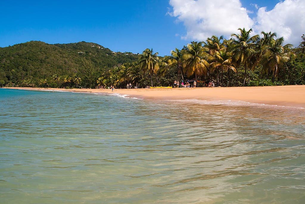 Plage de Petite Anse Pointe-Noire