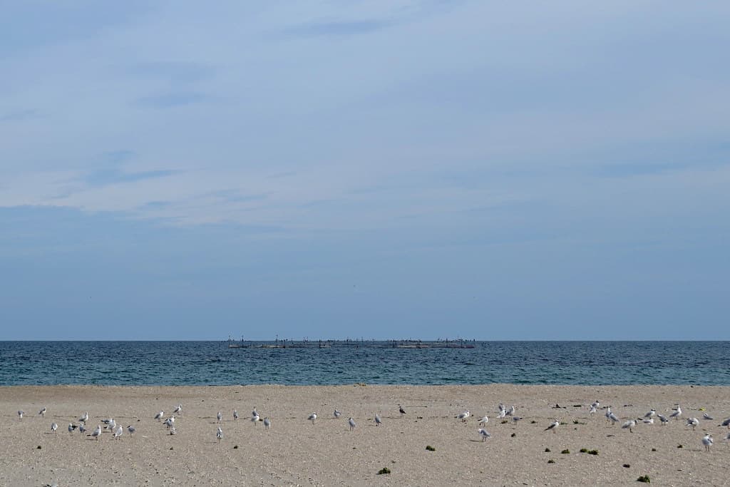 Plaja Olimp Nord — photo by Alex Panoiu