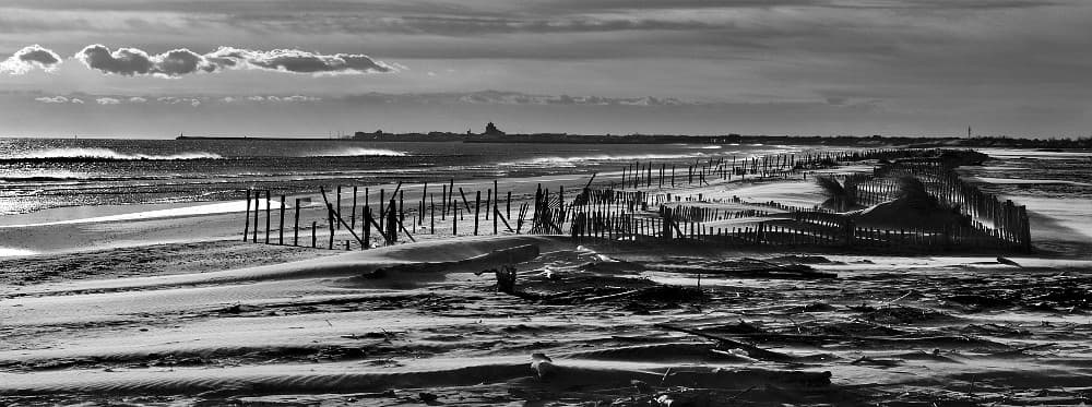 Camargue - Plage des Saintes Maries De La Mer