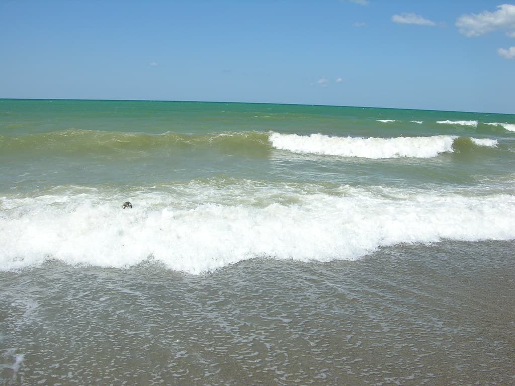 Berezovyi Beach