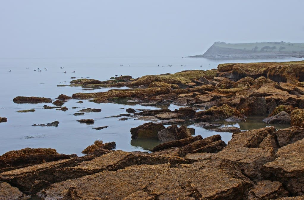 Heysham Beach — photo by Gidzy