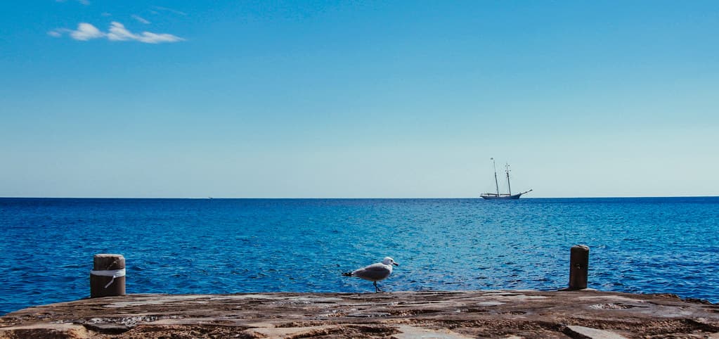Cala Fornells — photo by bortescristian