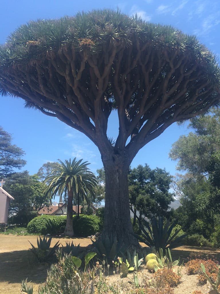 Santa Barbara