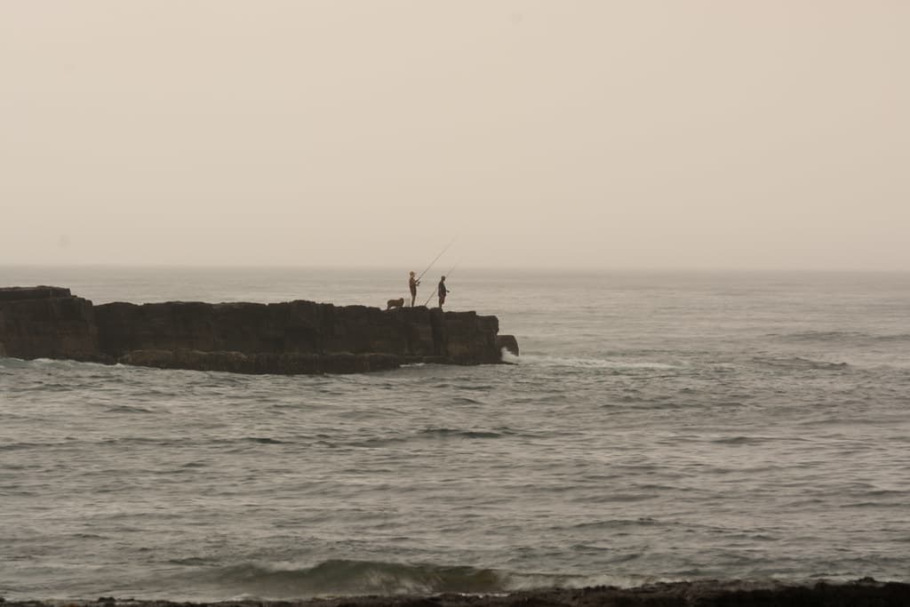 20150110-183407-_DSC5094.jpg
