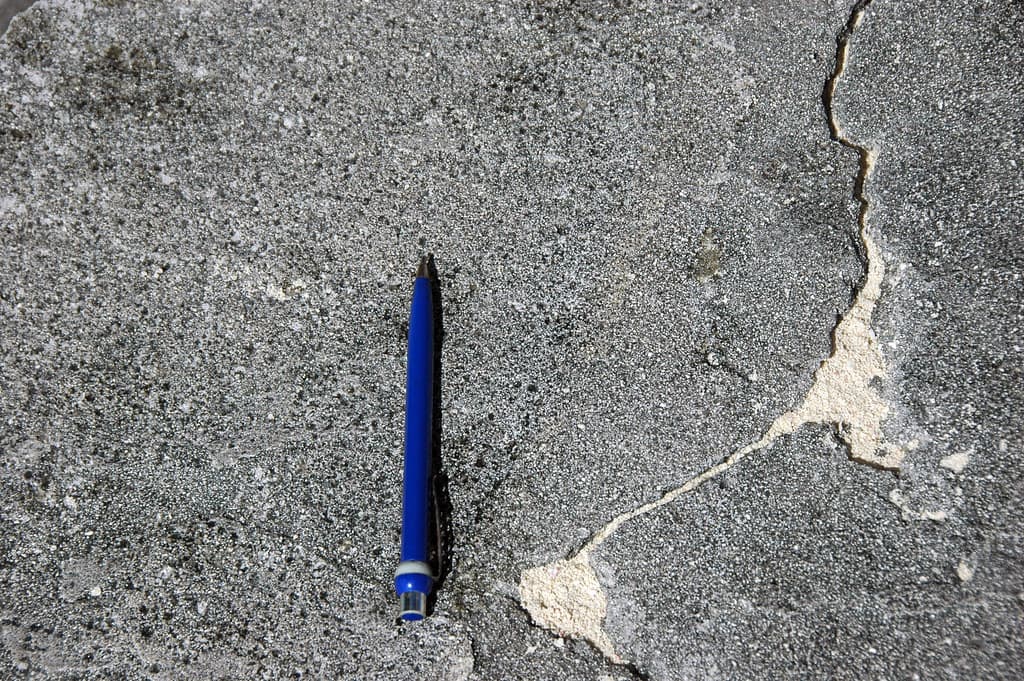 Bubble porosity & swash line on calcarenite bedding plane (Hanna Bay Member, Rice Bay Formation, Holocene; Grotto Bay, San Salvador Island, Bahamas) 4
