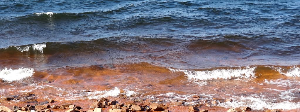 Whitecaps, Lake Hartwell