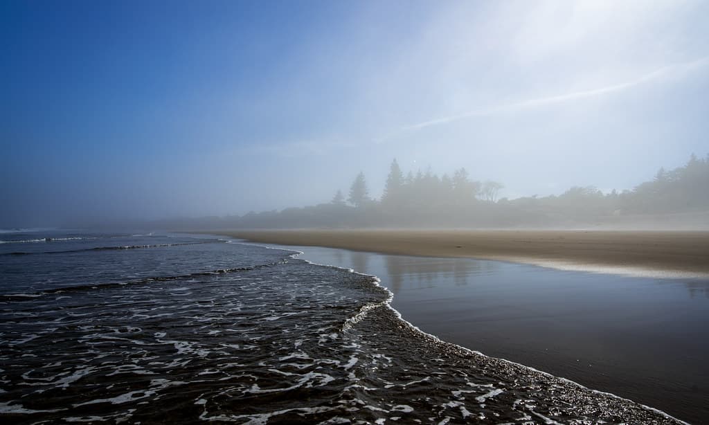 the feel of the fog