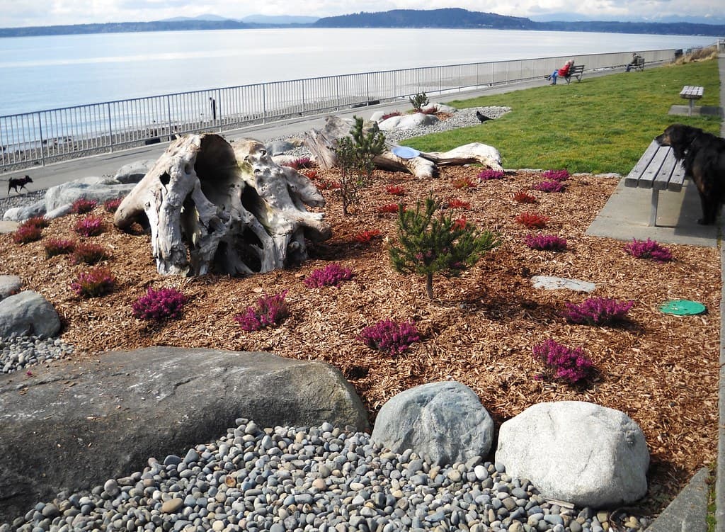 Charles Richey Sr Viewpoint