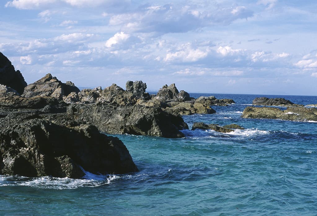 20050110 16  Burgess Beach in Forster