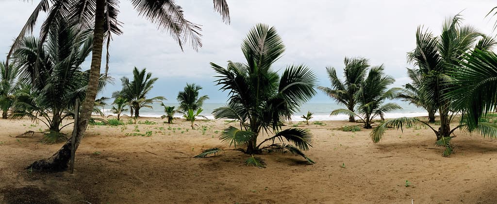 Taco Pako Beach — photo by Stig Nygaard