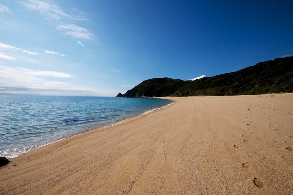 Wainui Bay Beach — photo by evocateur