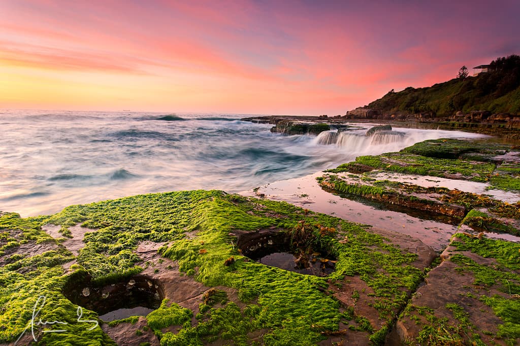 Wombarra Pinks and Greens