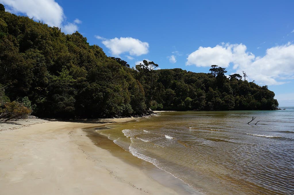 Bay at the mouth of Little River (2)