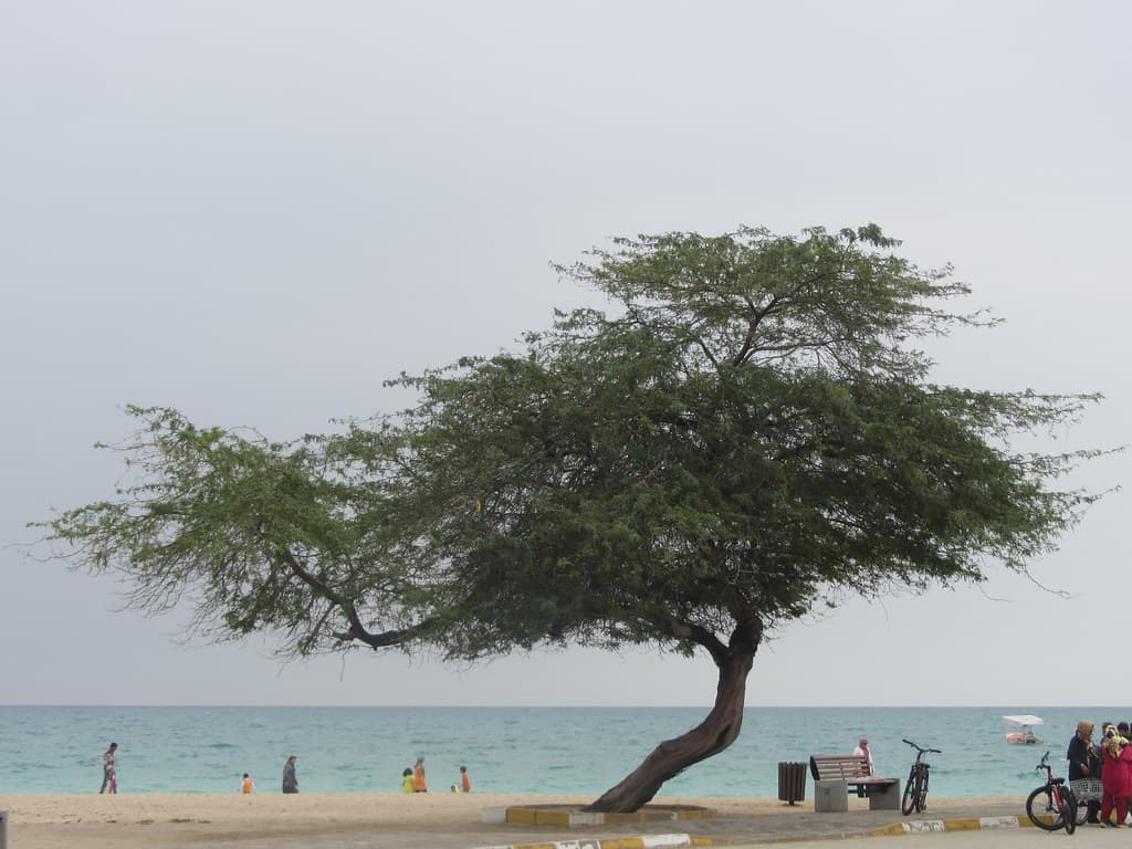 Marjan Beach