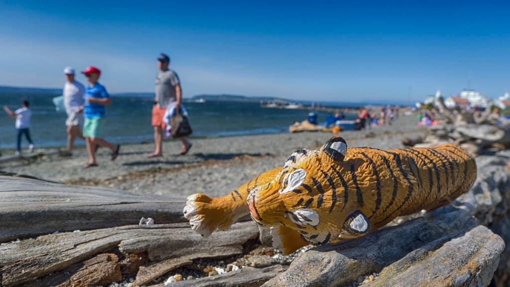 Relaxing on Mukilteo Beach