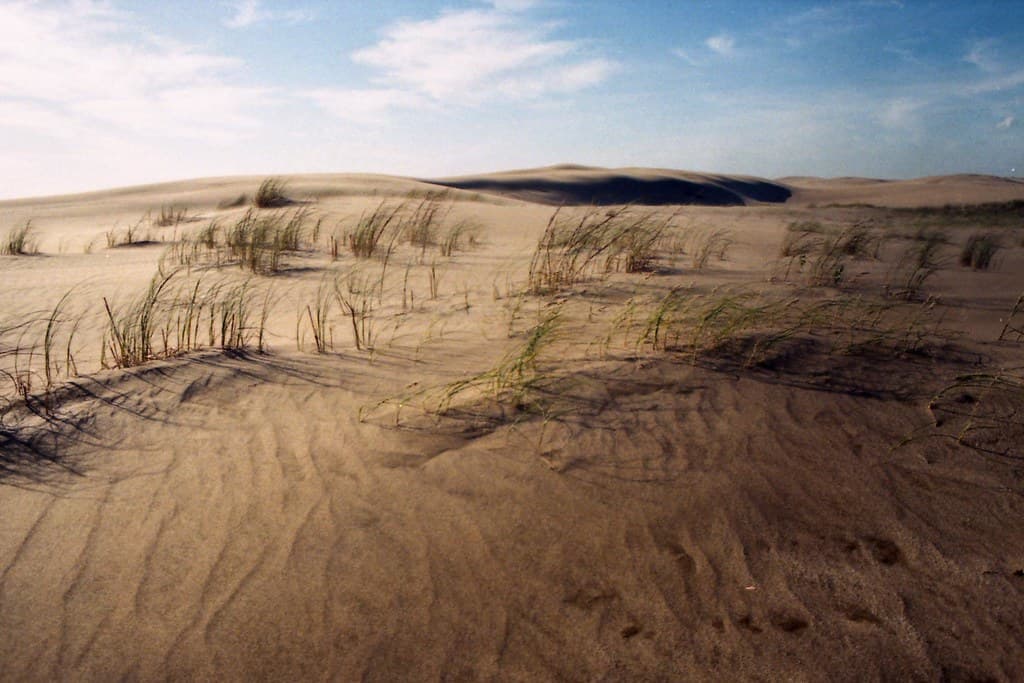 Playa Las Dunas