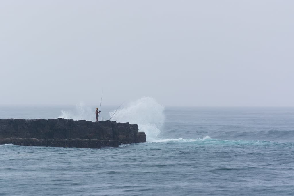 20150110-183807-_DSC5106.jpg