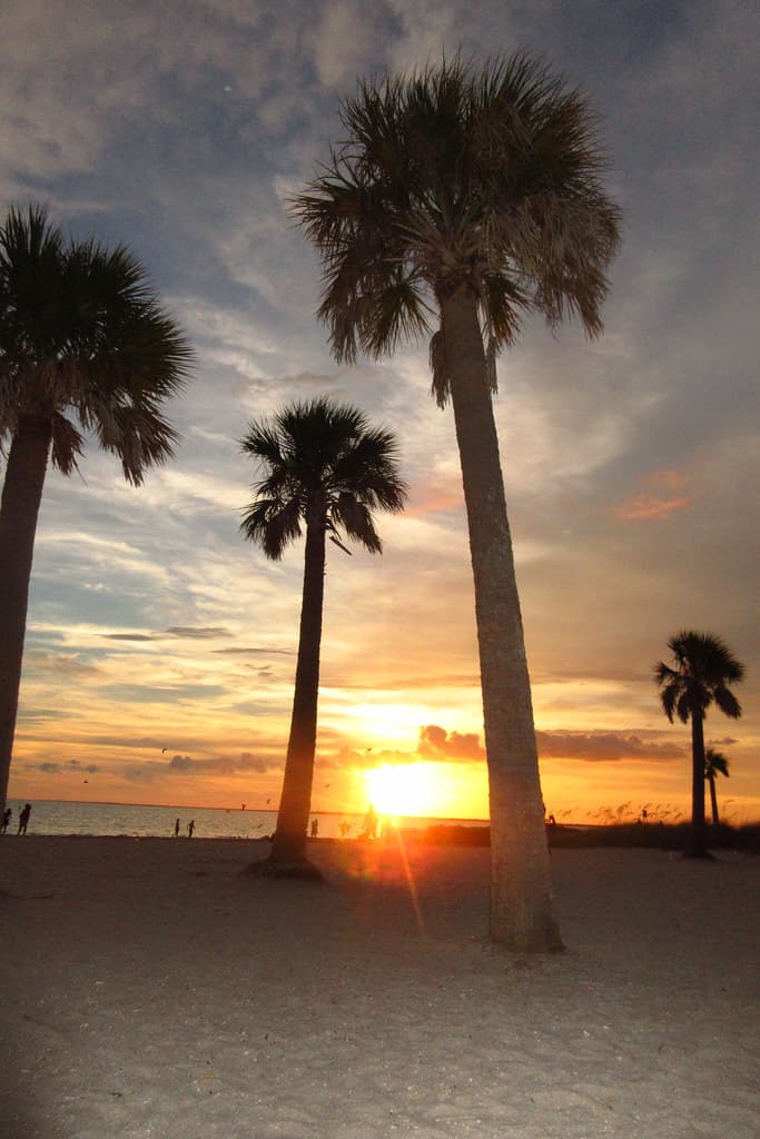 cool20160714 012_howard_park_beach_