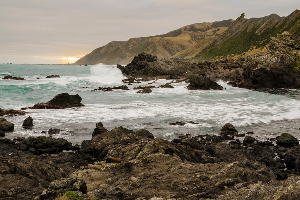 Cape Palliser Beach — photo by Eduardo_il_Magnifico