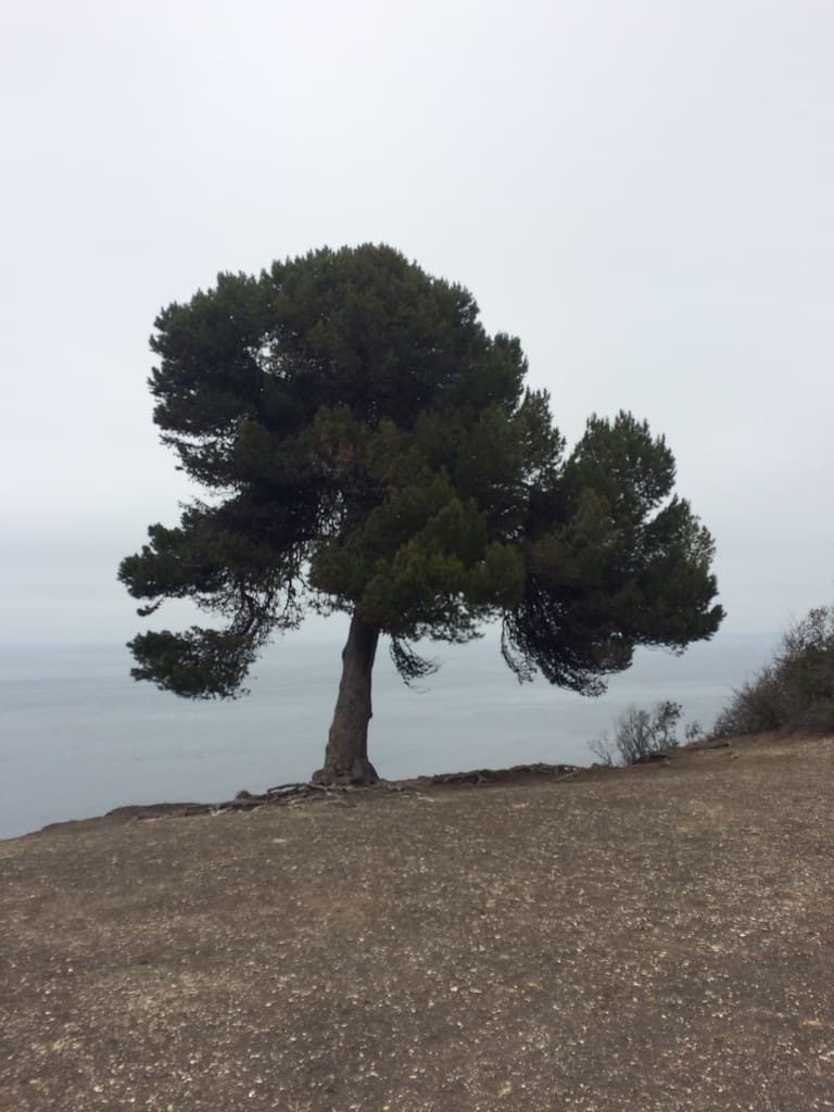 Los Angeles County