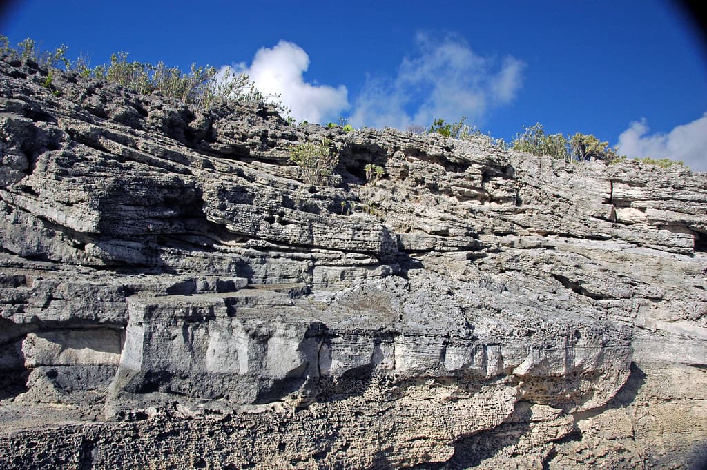 Calcarenitic eolianite (Hanna Bay Member, Rice Bay Formation, Holocene; Graham's Harbour, San Salvador Island, Bahamas) 9