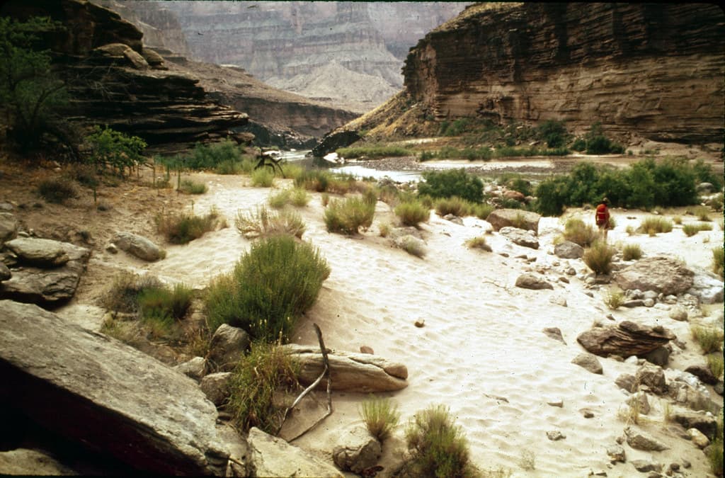 R120.1U - RIGHT - BLACKTAIL CANYON (UPPER)