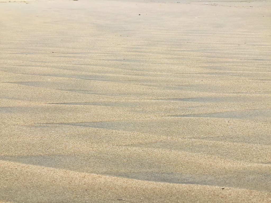 Carmona Beach — photo by Maurya Rohit