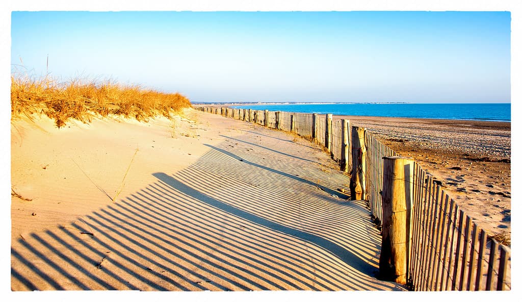 Morning on the Beach