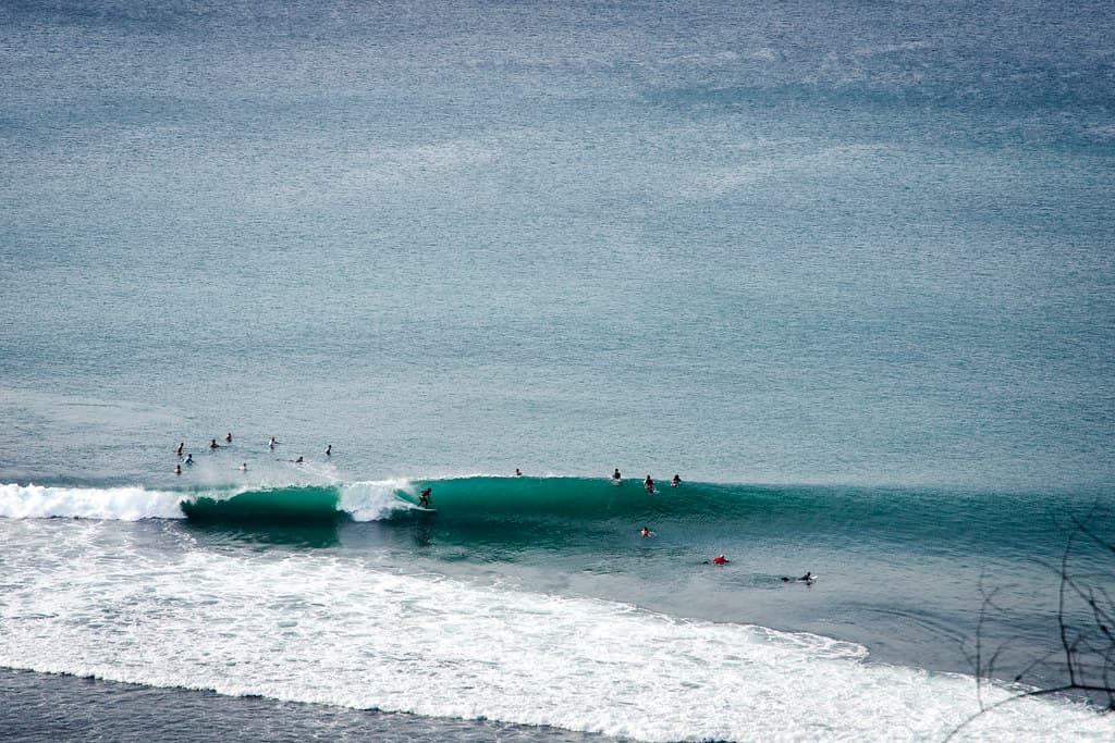 Enjoy the ocean