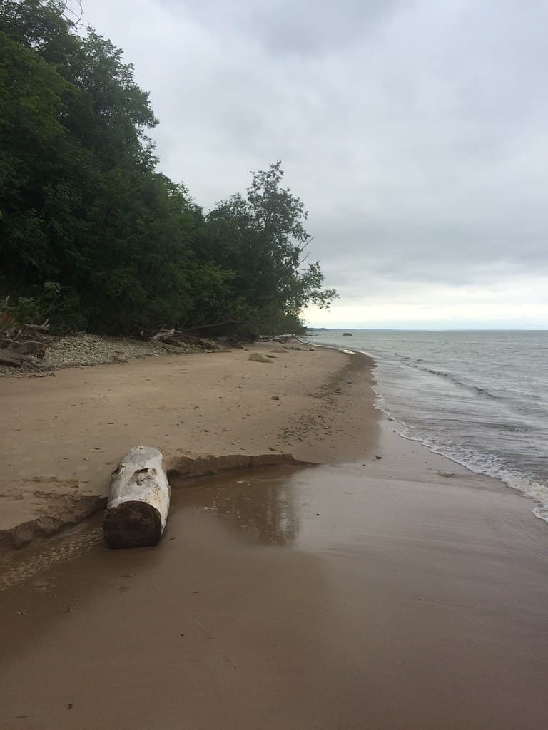 Saka Beach — photo by sergei.gussev